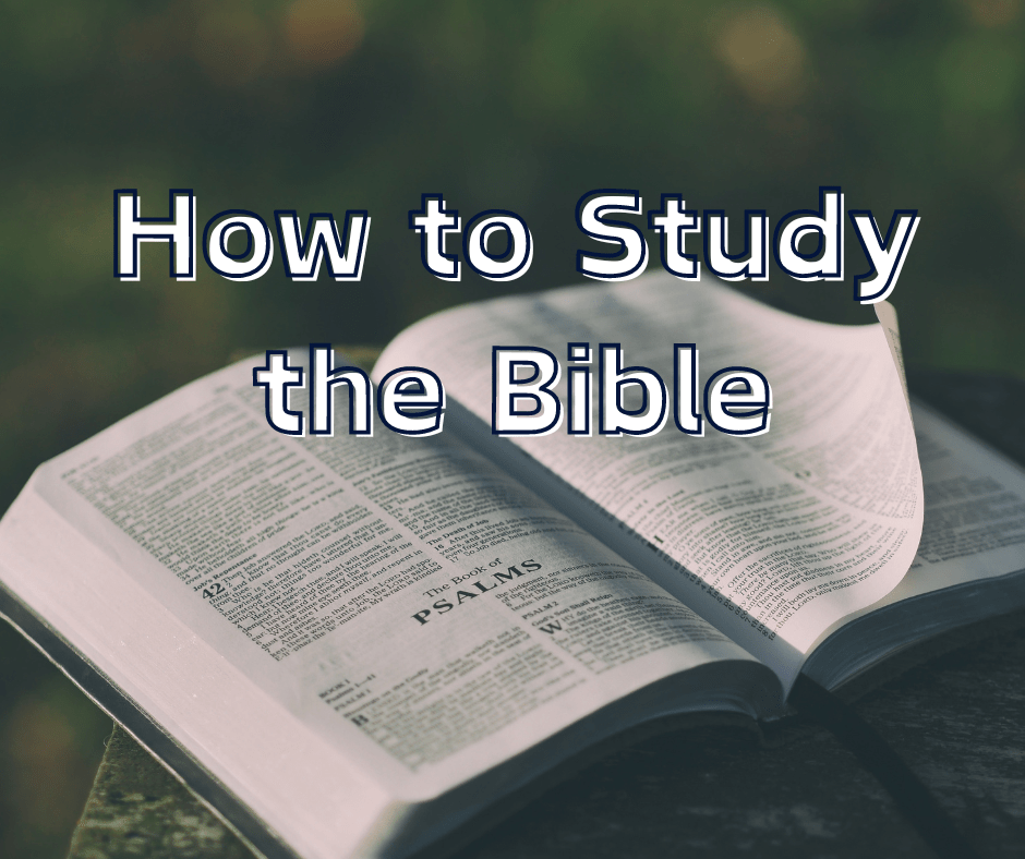 How to Study the&nbsp;Bible